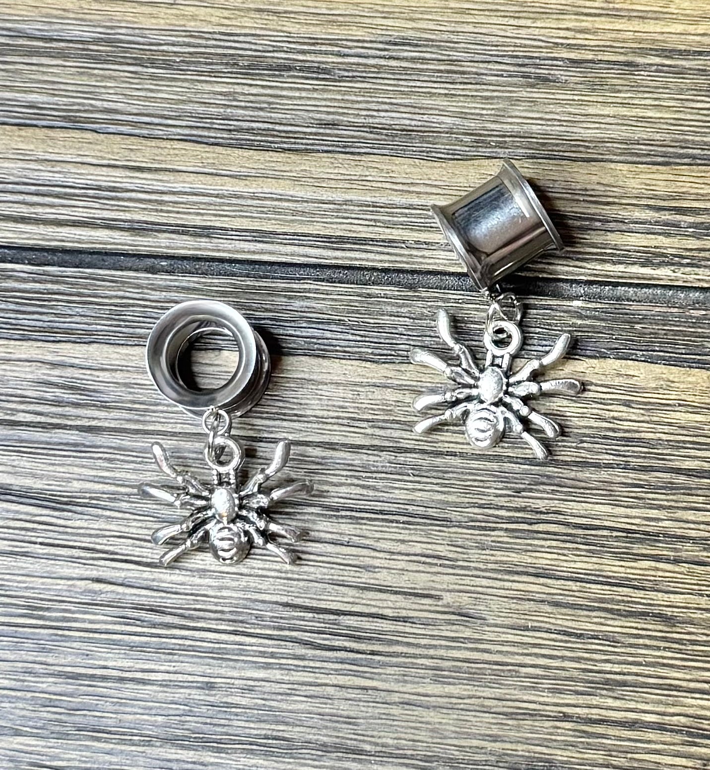 Jumping Spider Dangle Ear Tunnels